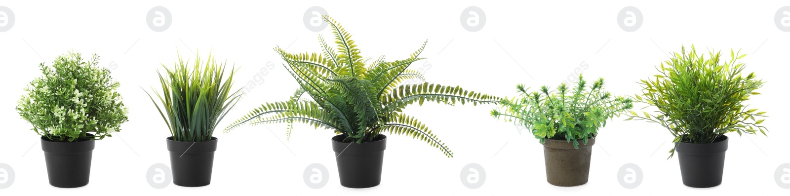 Image of Set of artificial plants in flower pots isolated on white. Banner design