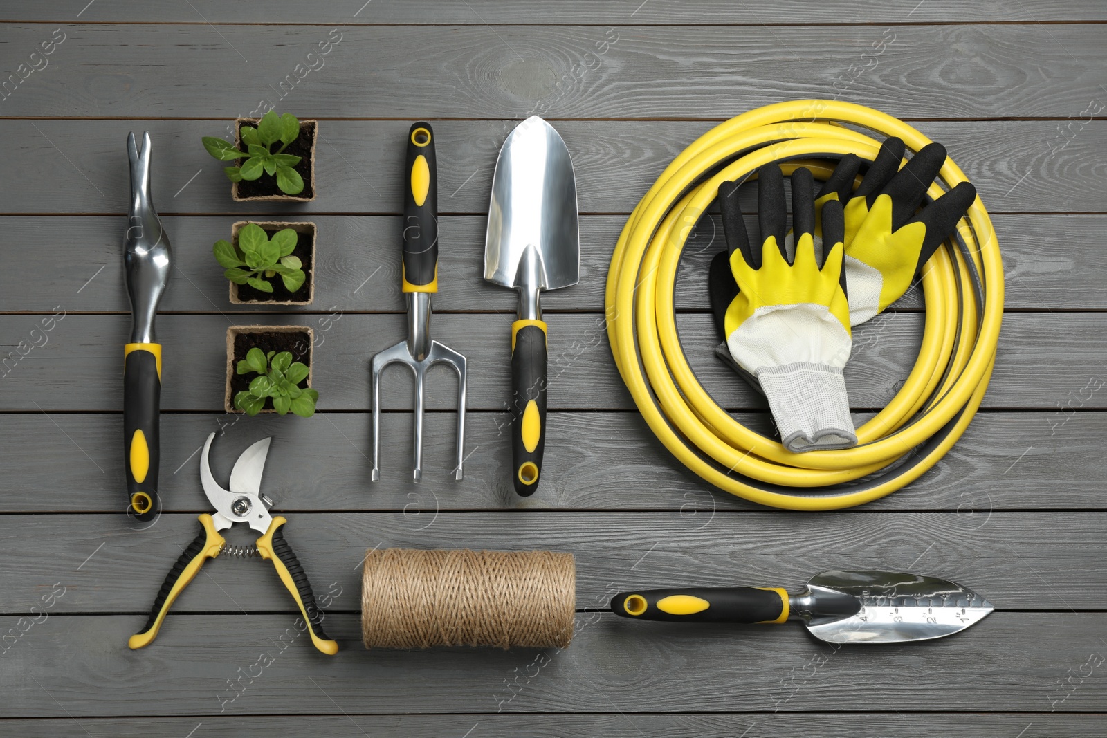 Photo of Flat lay composition with gardening tools and green plants on grey wooden background