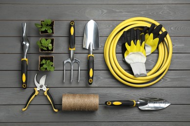 Flat lay composition with gardening tools and green plants on grey wooden background