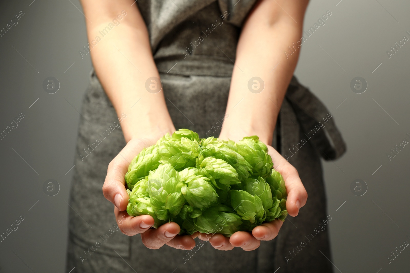 Photo of Woman holding pile of fresh ripe hops on grey background, closeup