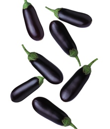 Image of Many fresh eggplants falling on white background