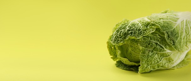 Image of Fresh ripe Chinese cabbage on light green background, space for text. Banner design