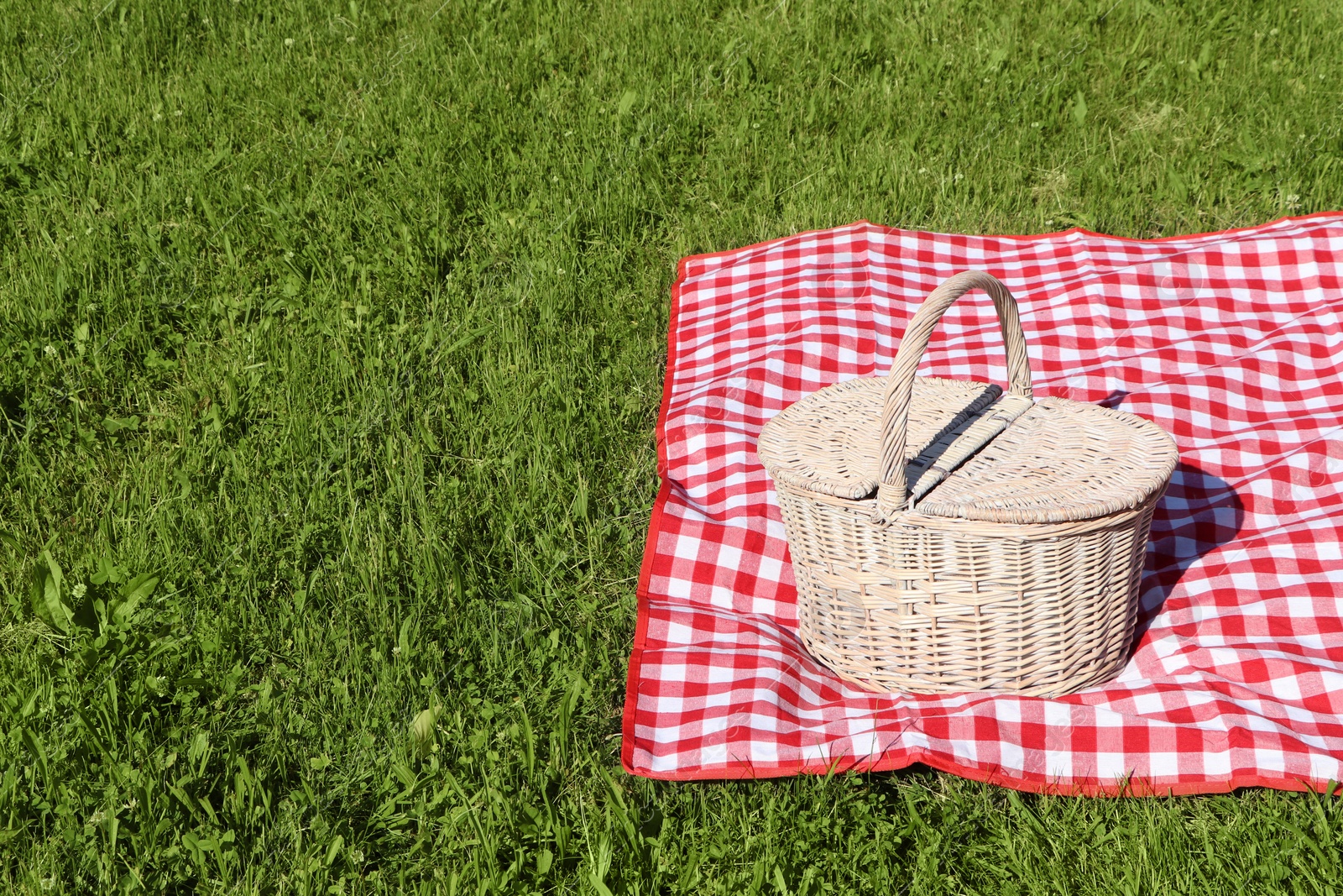 Photo of Picnic basket with checkered tablecloth on green grass outdoors, space for text