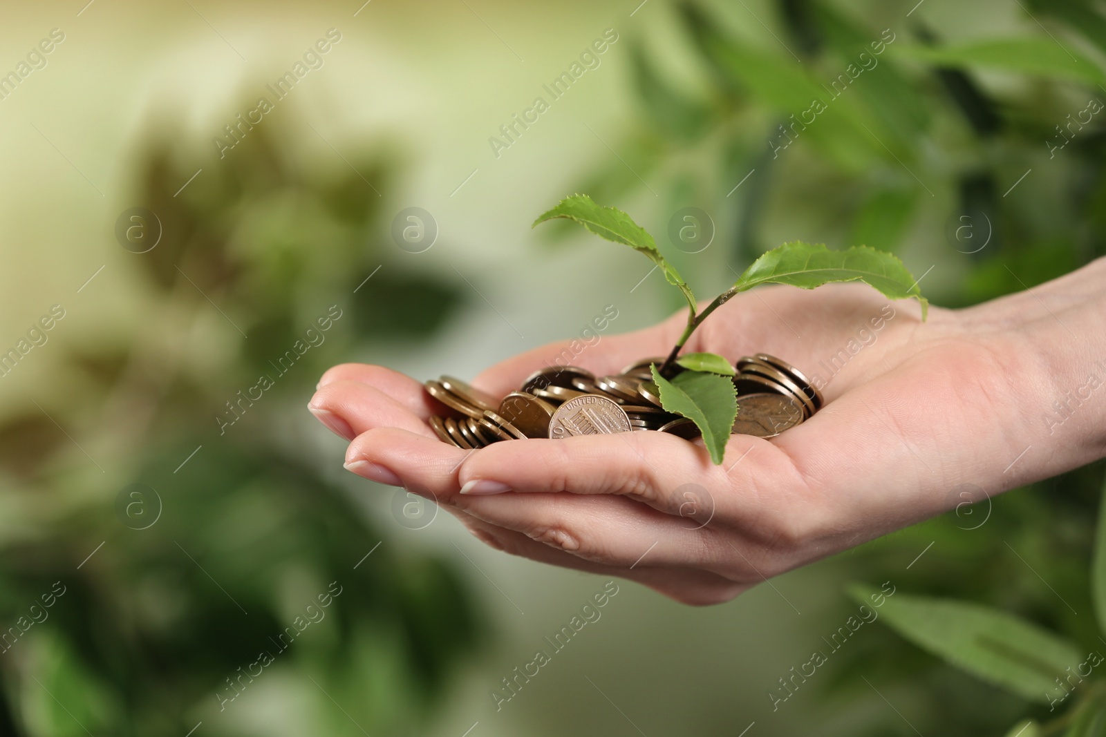 Photo of Woman holding coins and green sprout on blurred background, closeup. Money savings