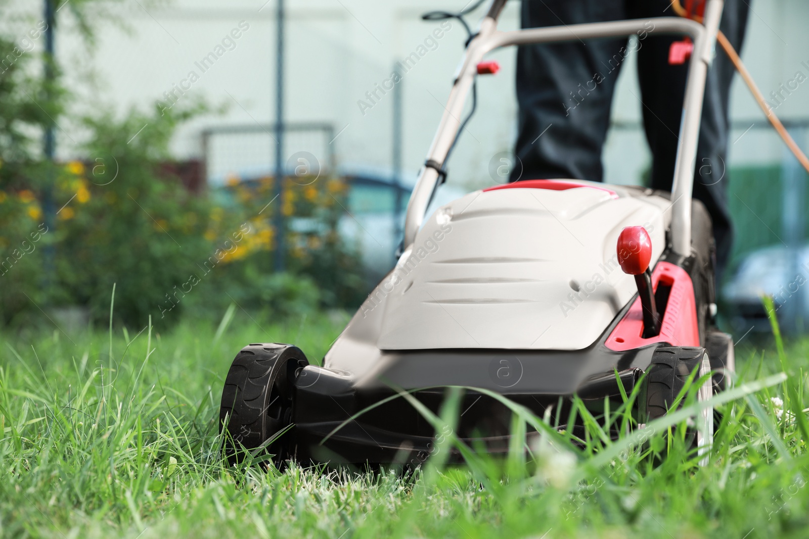 Photo of Man cutting grass with lawn mower in garden, closeup. Space for text