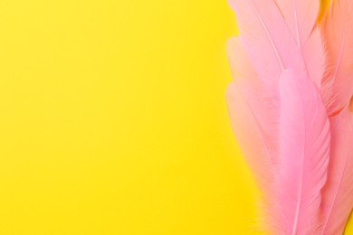Photo of Beautiful pink feathers on yellow background, top view. Space for text