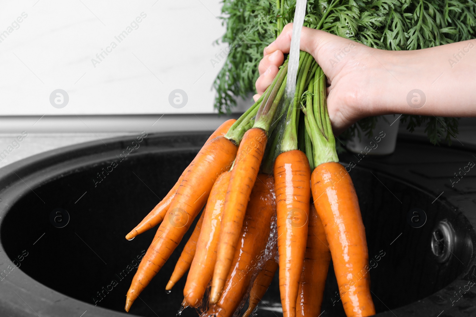 Photo of Woman washing ripe carrots with running water in sink, closeup