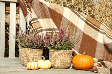 Photo of Beautiful composition with heather flowers in pots and pumpkins on wooden bench outdoors