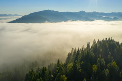 Image of Aerial view of beautiful landscape with misty forest in mountains