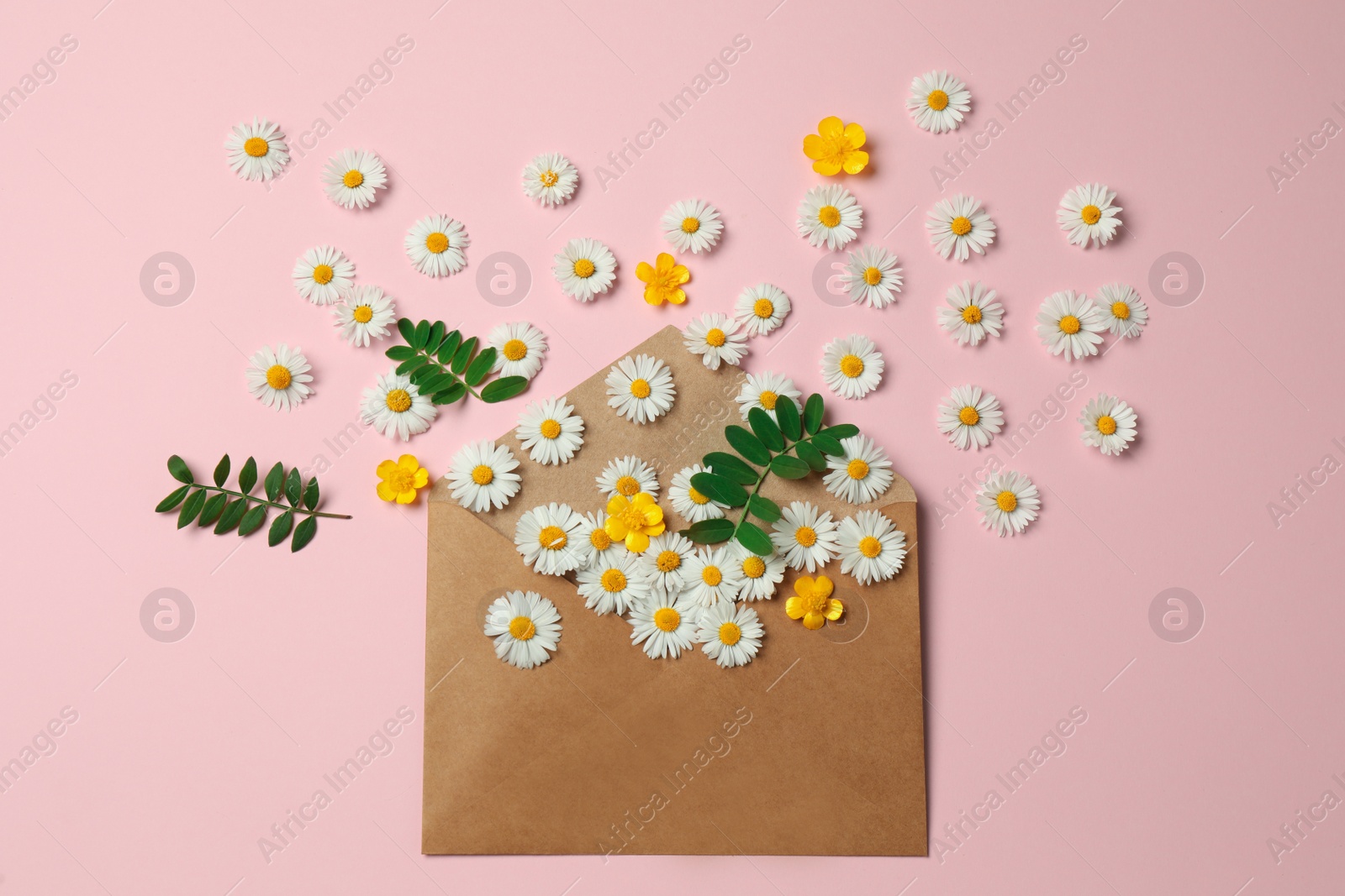 Photo of Flat lay composition with beautiful flowers, leaves and envelope on pink background