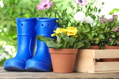 Photo of Potted blooming flowers and gumboots on wooden table. Home gardening