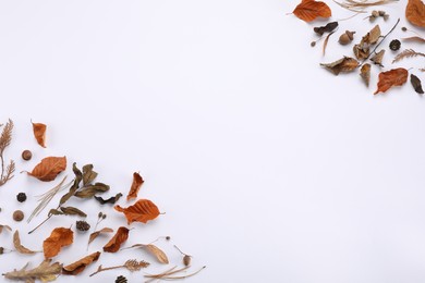 Photo of Dry autumn leaves, acorns and cones on white background, flat lay. Space for text