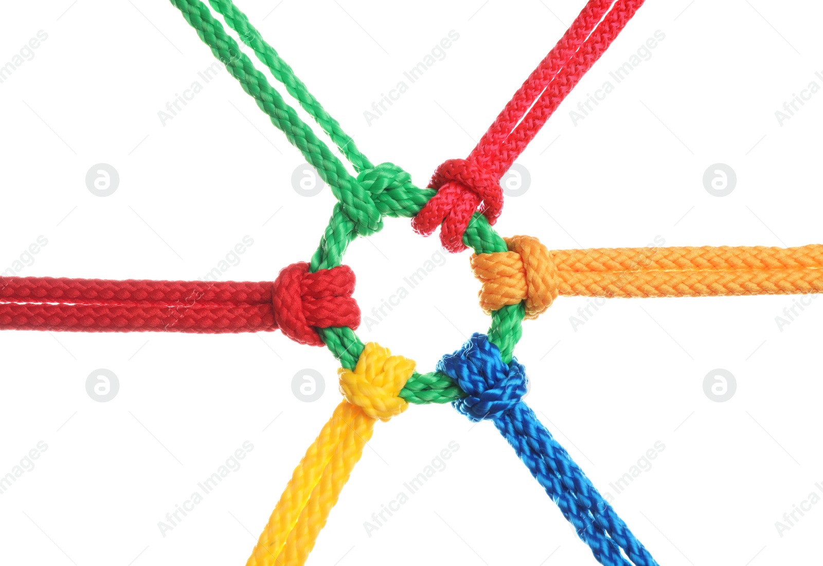 Photo of Colorful ropes tied together isolated on white. Unity concept