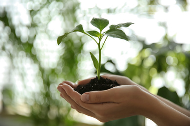 Photo of Woman holding green pepper seedling against blurred background, closeup