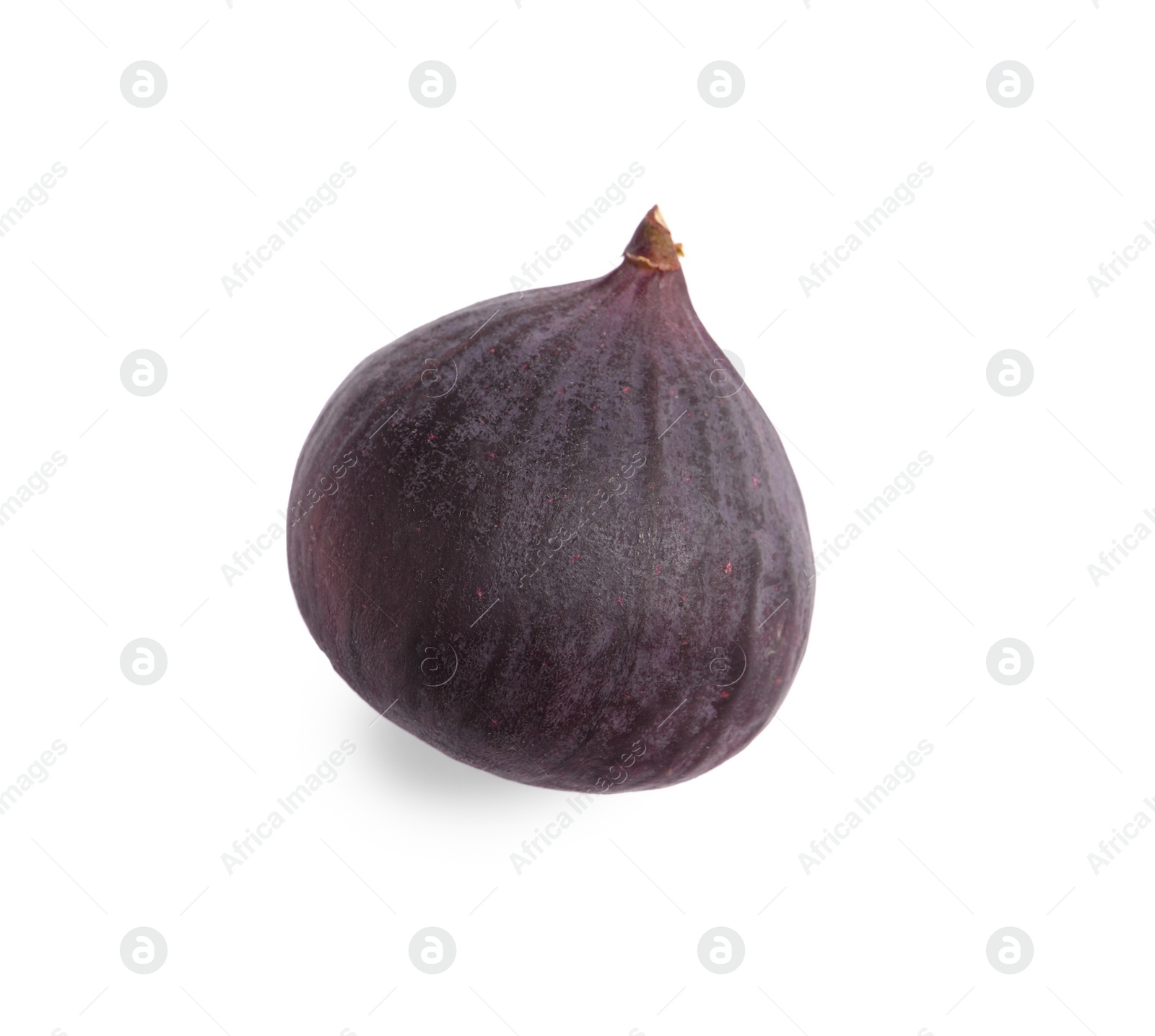 Photo of Whole ripe fresh fig isolated on white