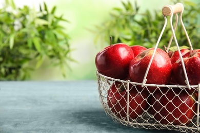 Photo of Metal basket with ripe juicy red apples on blue wooden table against blurred background. Space for text