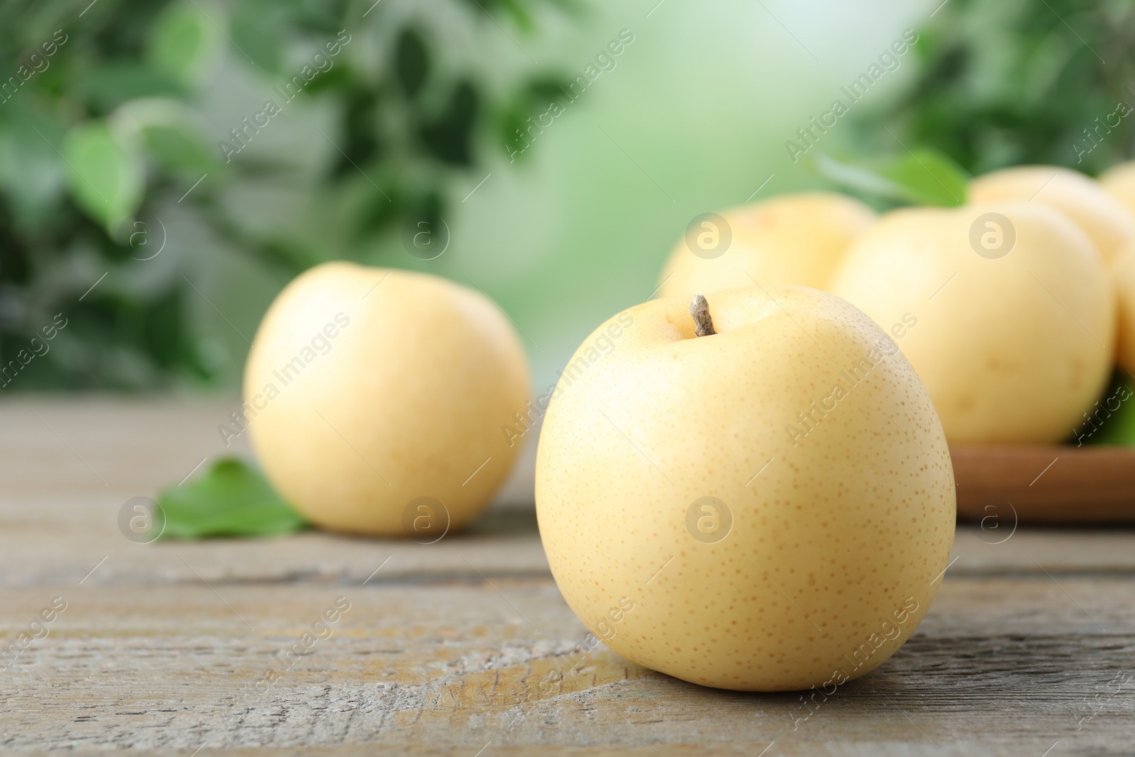Photo of Ripe apple pears on wooden table against blurred background. Space for text