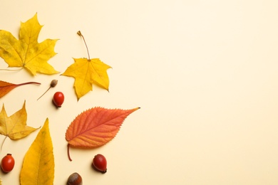 Flat lay composition with autumn leaves on beige background. Space for text