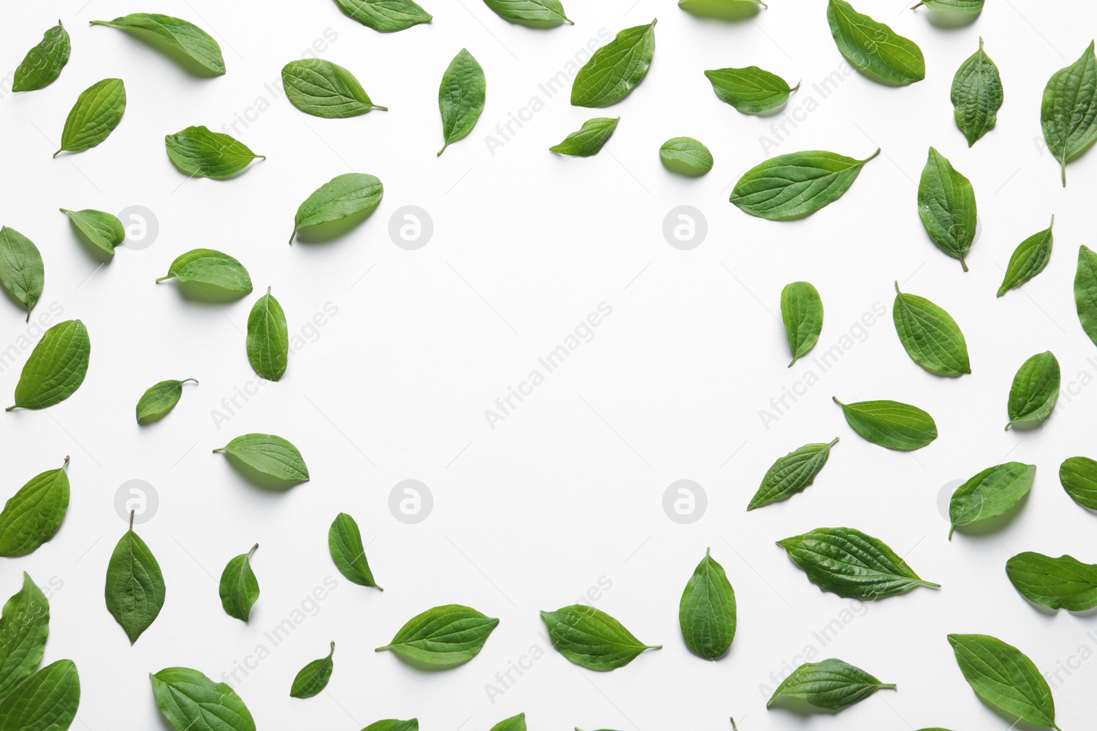 Photo of Frame made of green leaves on white background, top view. Space for text