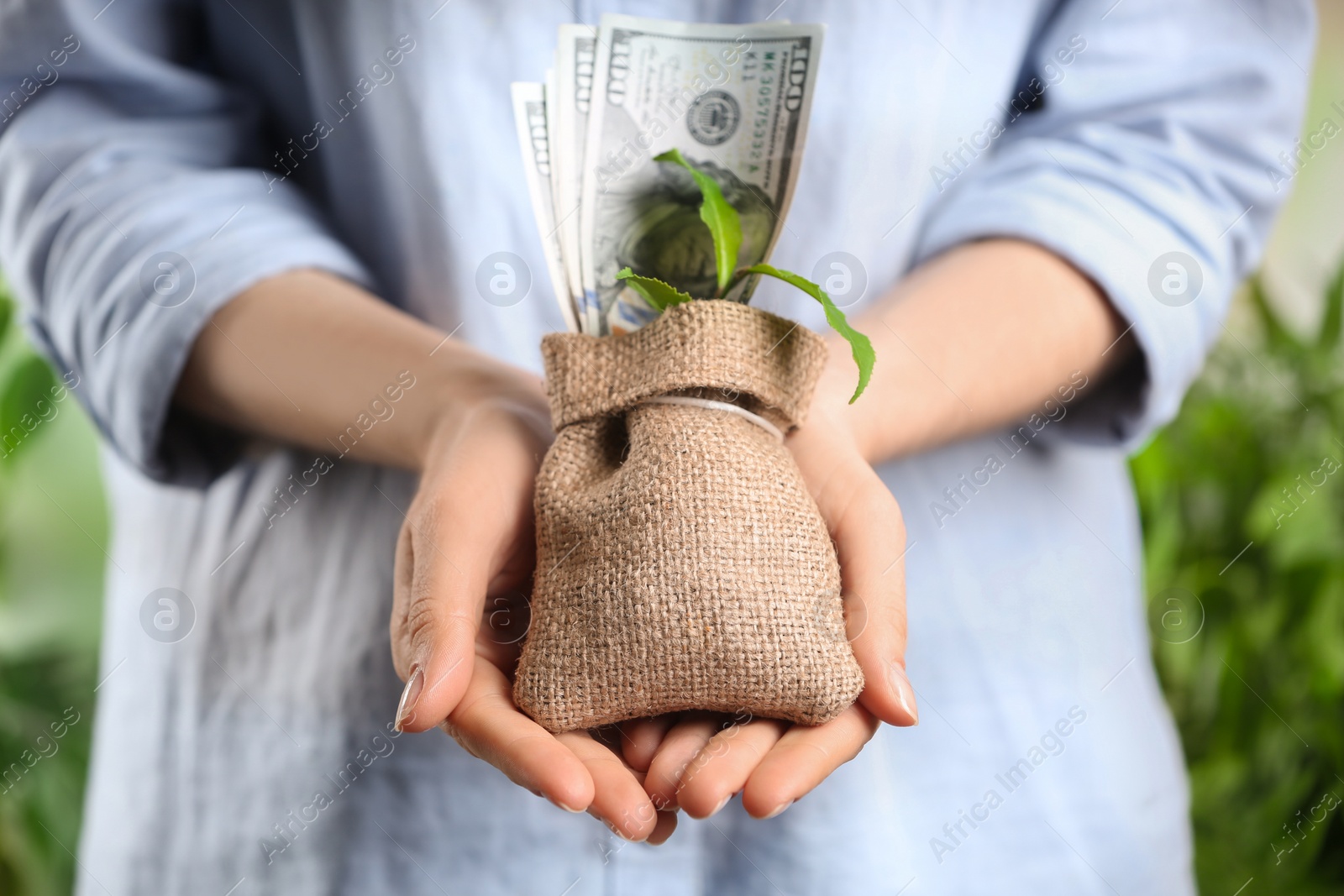 Photo of Woman holding sack with dollars and green sprout, closeup. Money savings
