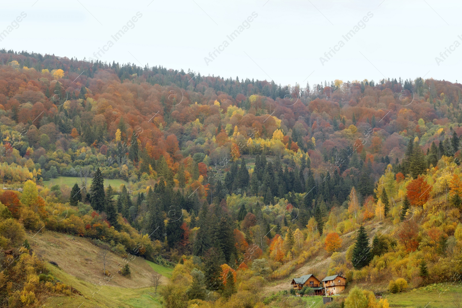 Photo of Beautiful view of forest and mountain village on autumn day