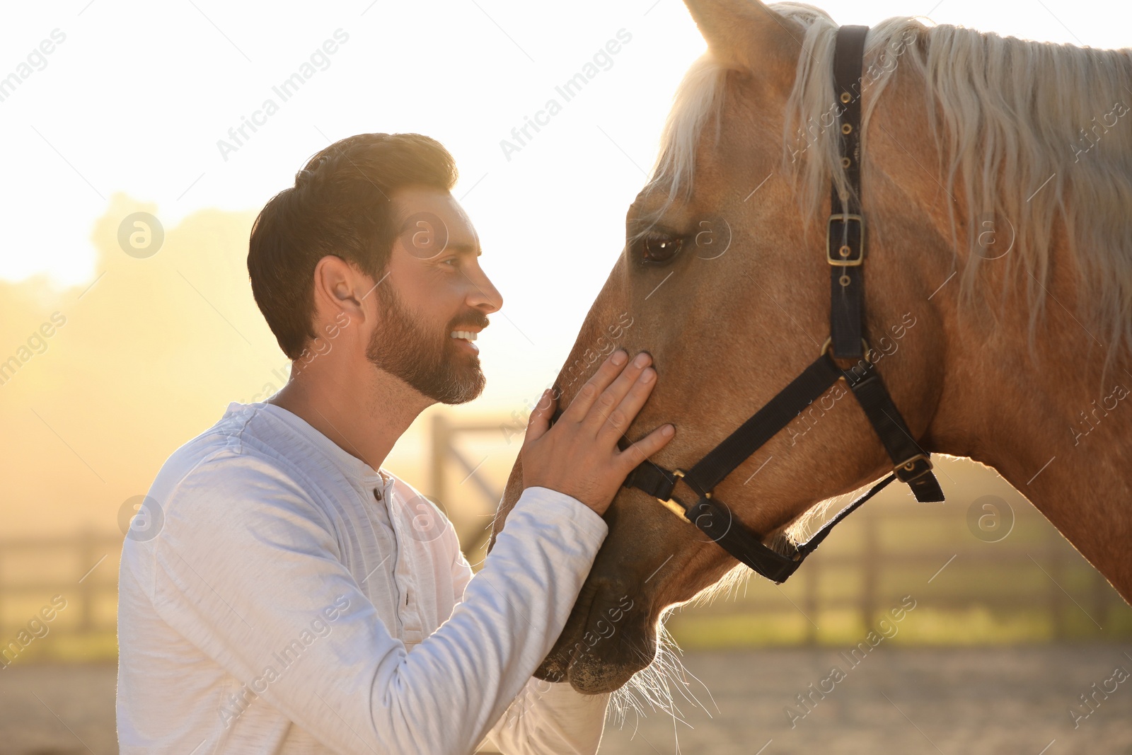 Photo of Handsome man with adorable horse outdoors on sunny day. Lovely domesticated pet