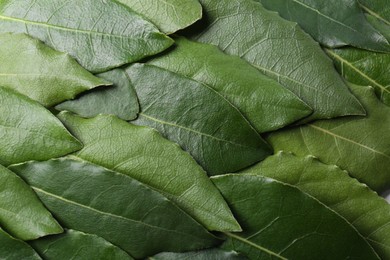 Photo of Many fresh bay leaves as background, closeup