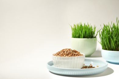 Ceramic dishware with wheat seeds and grass on white background, space for text