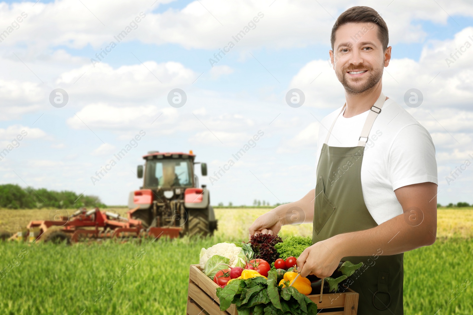 Image of Harvesting season. Farmer holding wooden crate with crop in field