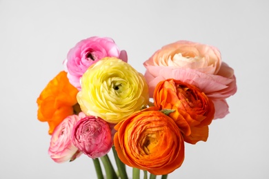 Photo of Beautiful ranunculus flowers against light background, closeup