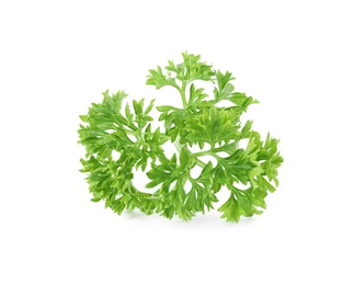 Photo of Fresh green organic parsley on white background