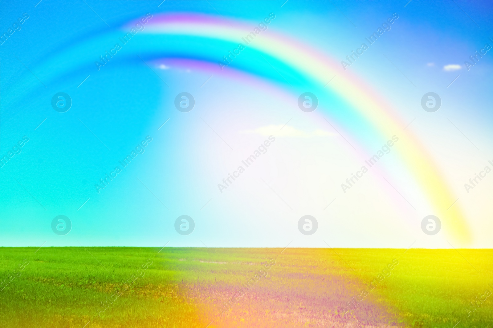 Image of Picturesque view of green meadow and beautiful rainbow in blue sky on sunny day