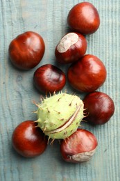 Photo of Many horse chestnuts on blue wooden table, flat lay