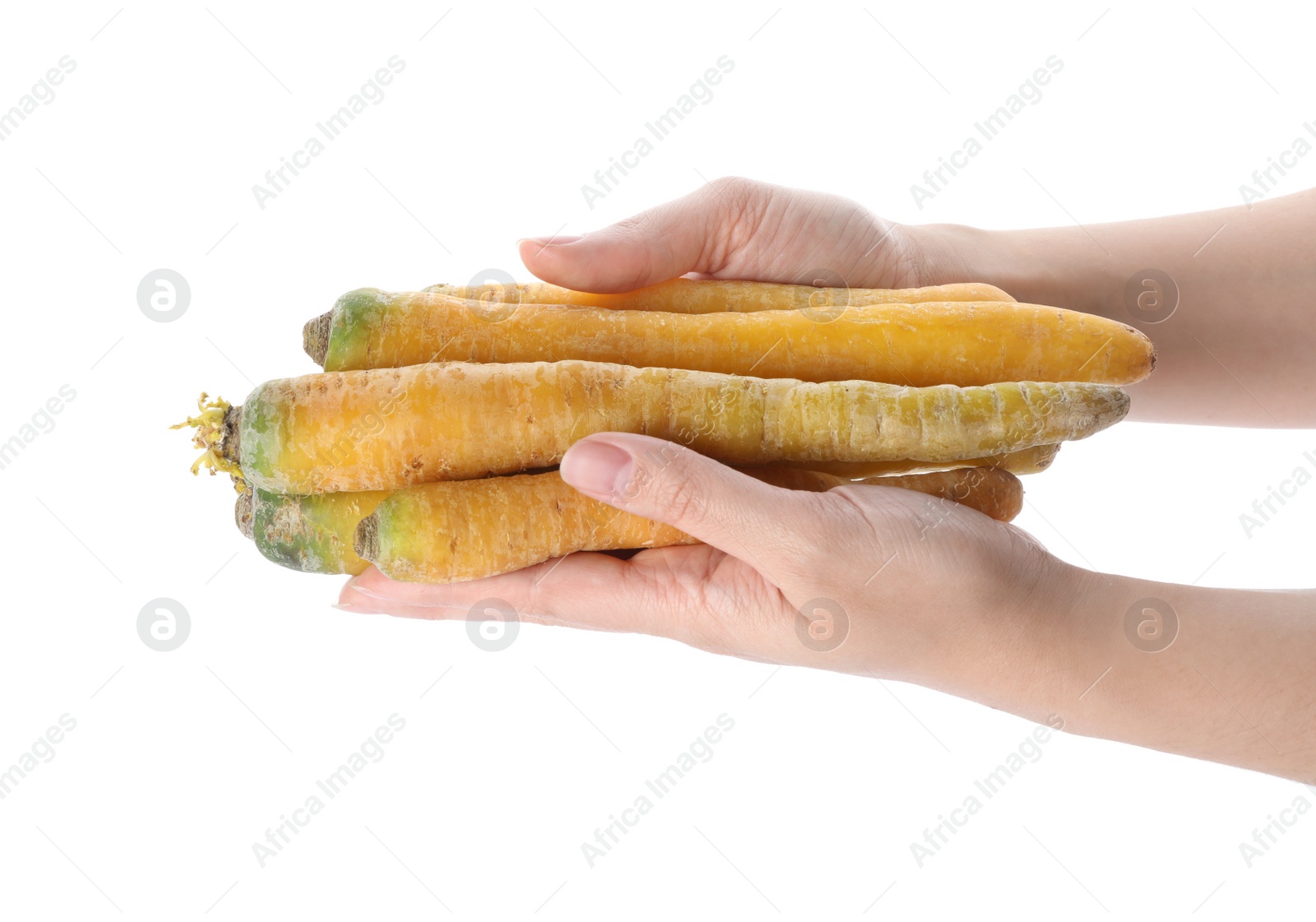 Photo of Woman holding raw yellow carrots on white background, closeup