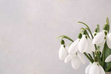 Photo of Beautiful snowdrops on light background, closeup. Space for text