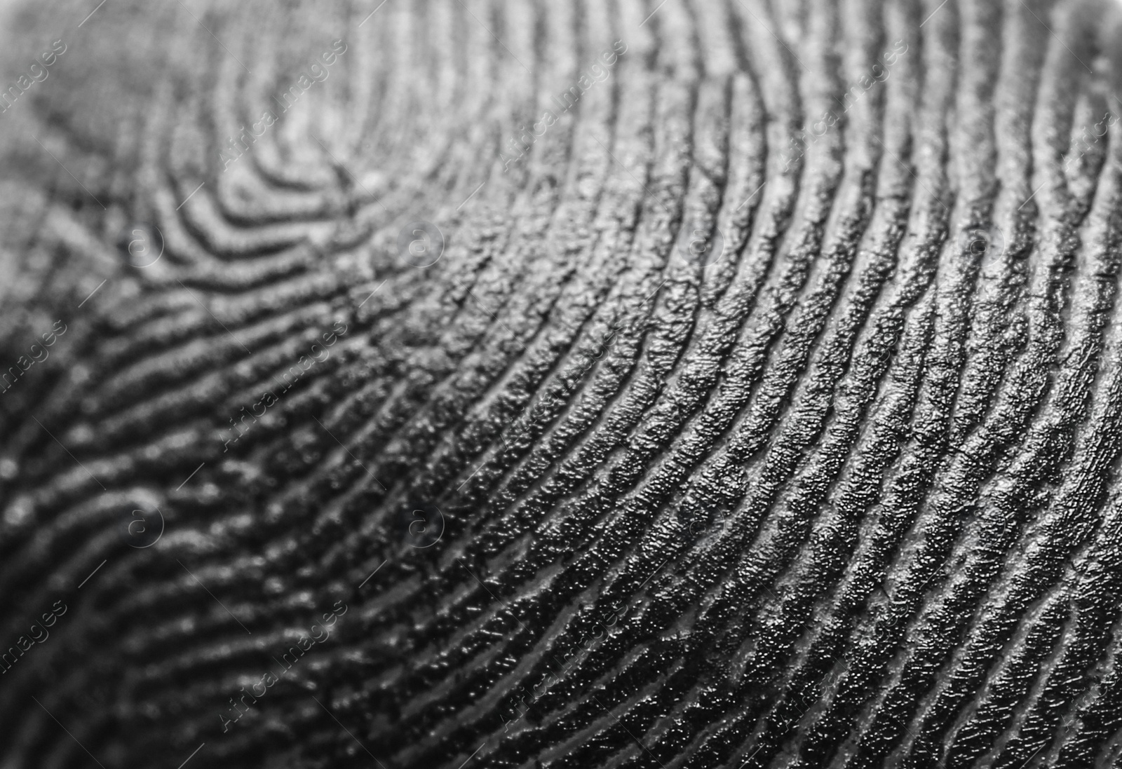 Photo of Closeup view of human finger covered with black ink