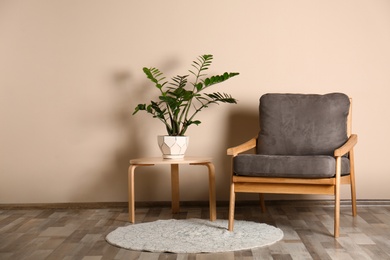 Stylish room interior with comfortable armchair and plant near color wall. Space for text