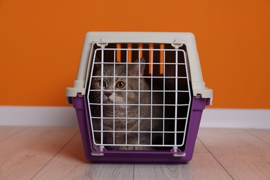 Photo of Travel with pet. Cute cat in carrier on floor near orange wall indoors