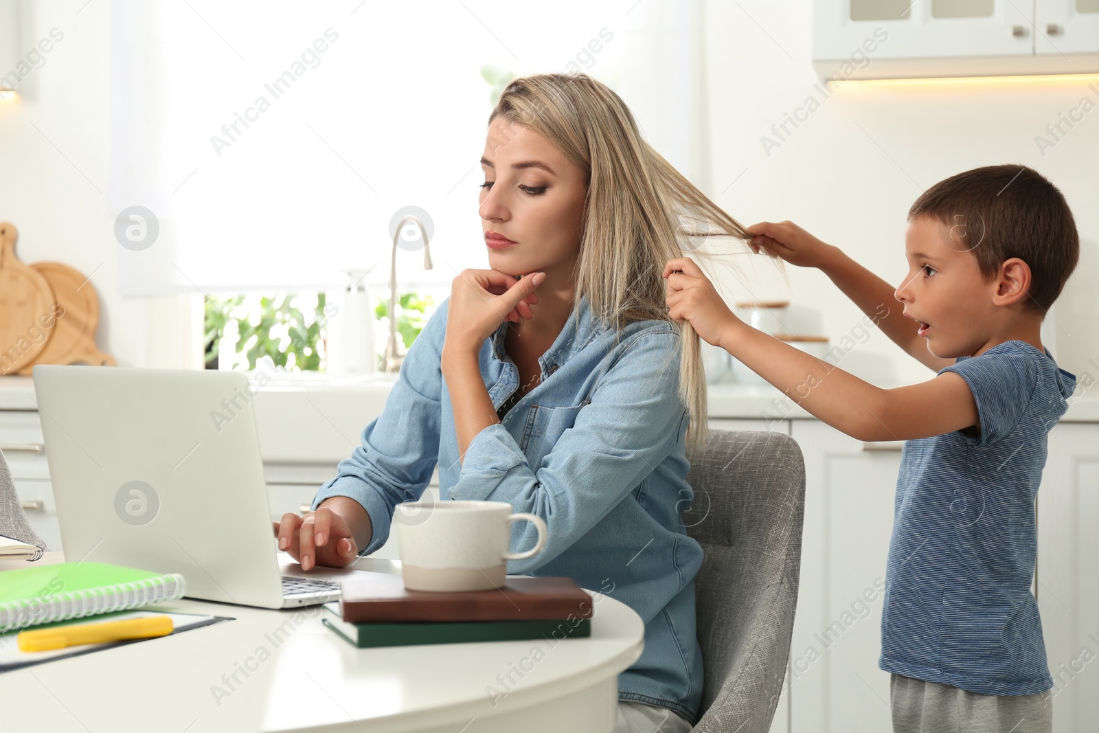 Photo of Little boy pulling mother's hair while she trying to work on laptop in kitchen. Home office concept