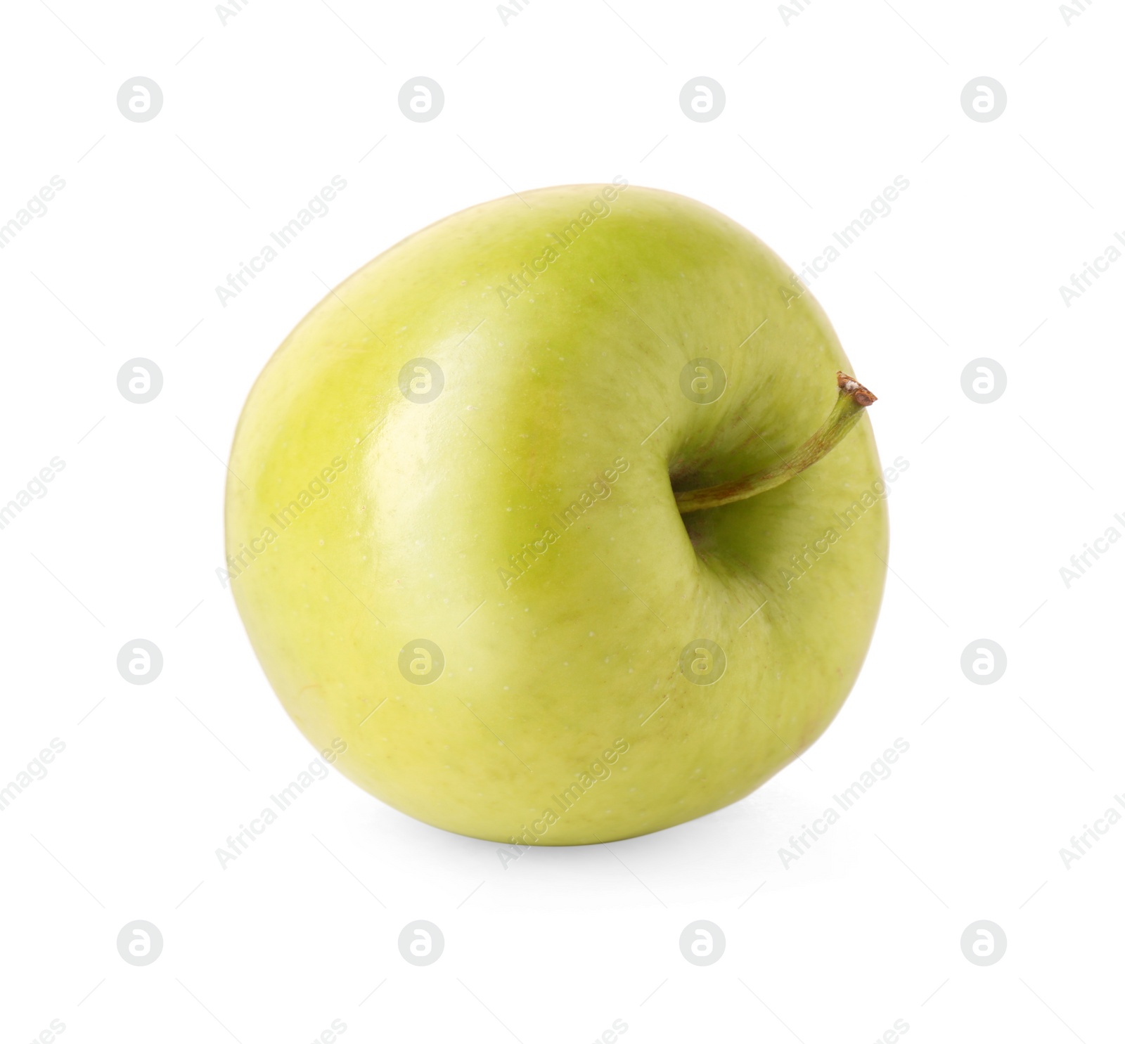 Photo of One ripe green apple isolated on white