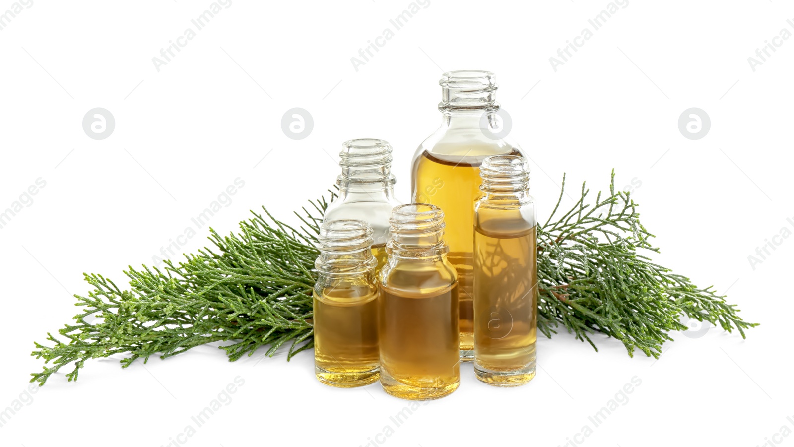 Photo of Different little bottles with essential oils and pine branches on white background