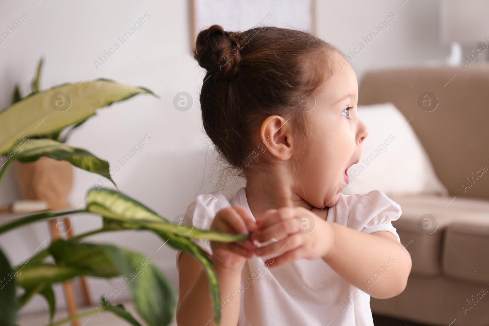 Photo of Little girl playing with houseplant at home