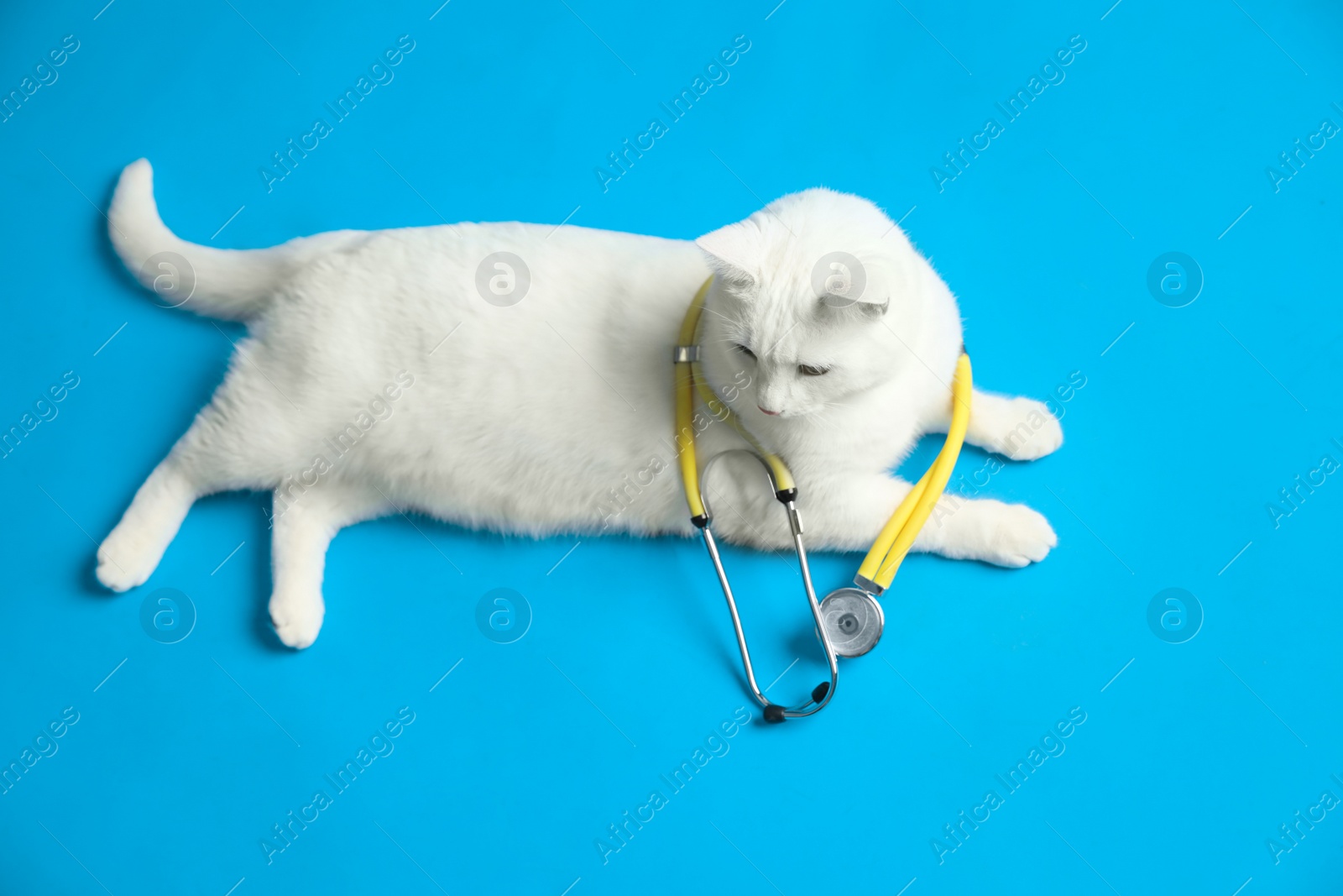 Photo of Cute cat with stethoscope as veterinarian on light blue background