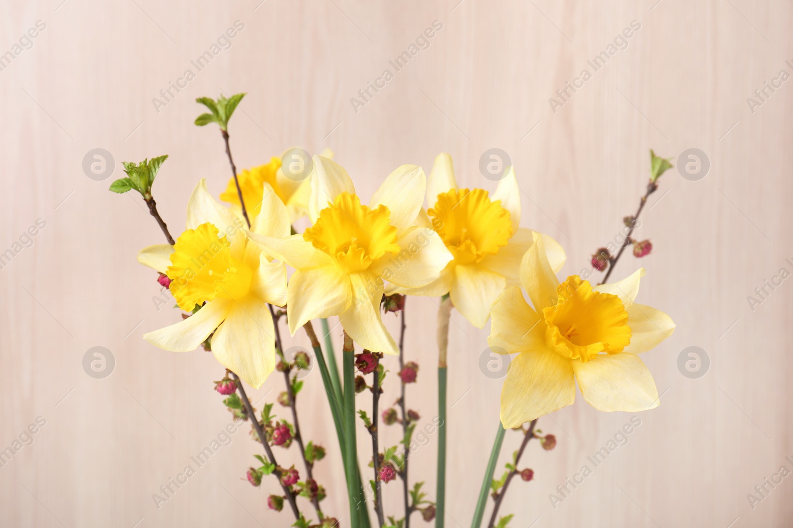 Photo of Bouquet of yellow daffodils and beautiful flowers near wall