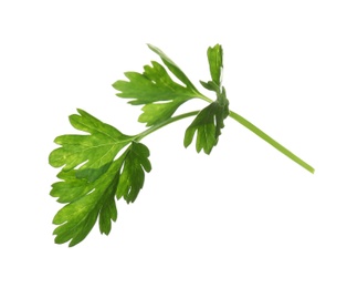 Photo of Fresh green organic parsley on white background