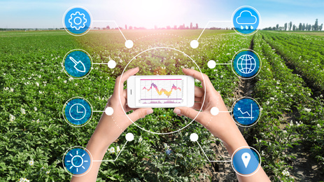 Image of Modern agriculture. Woman with smartphone in field and icons, closeup