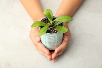 Child holding painted tin can with green plant at light table, closeup