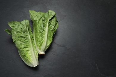 Photo of Fresh green romaine lettuces on black table, flat lay. Space for text