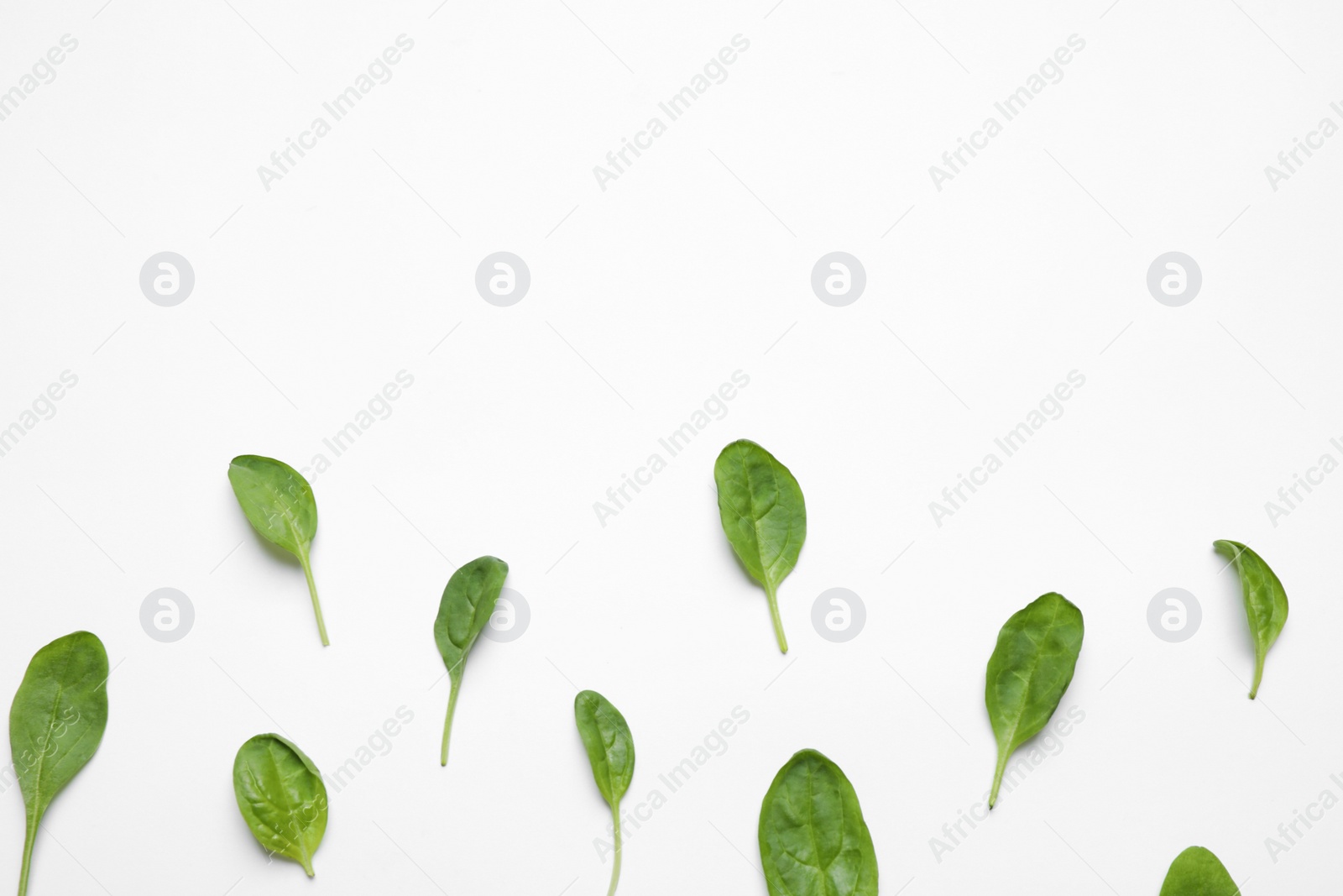 Photo of Fresh green healthy spinach on white background, top view