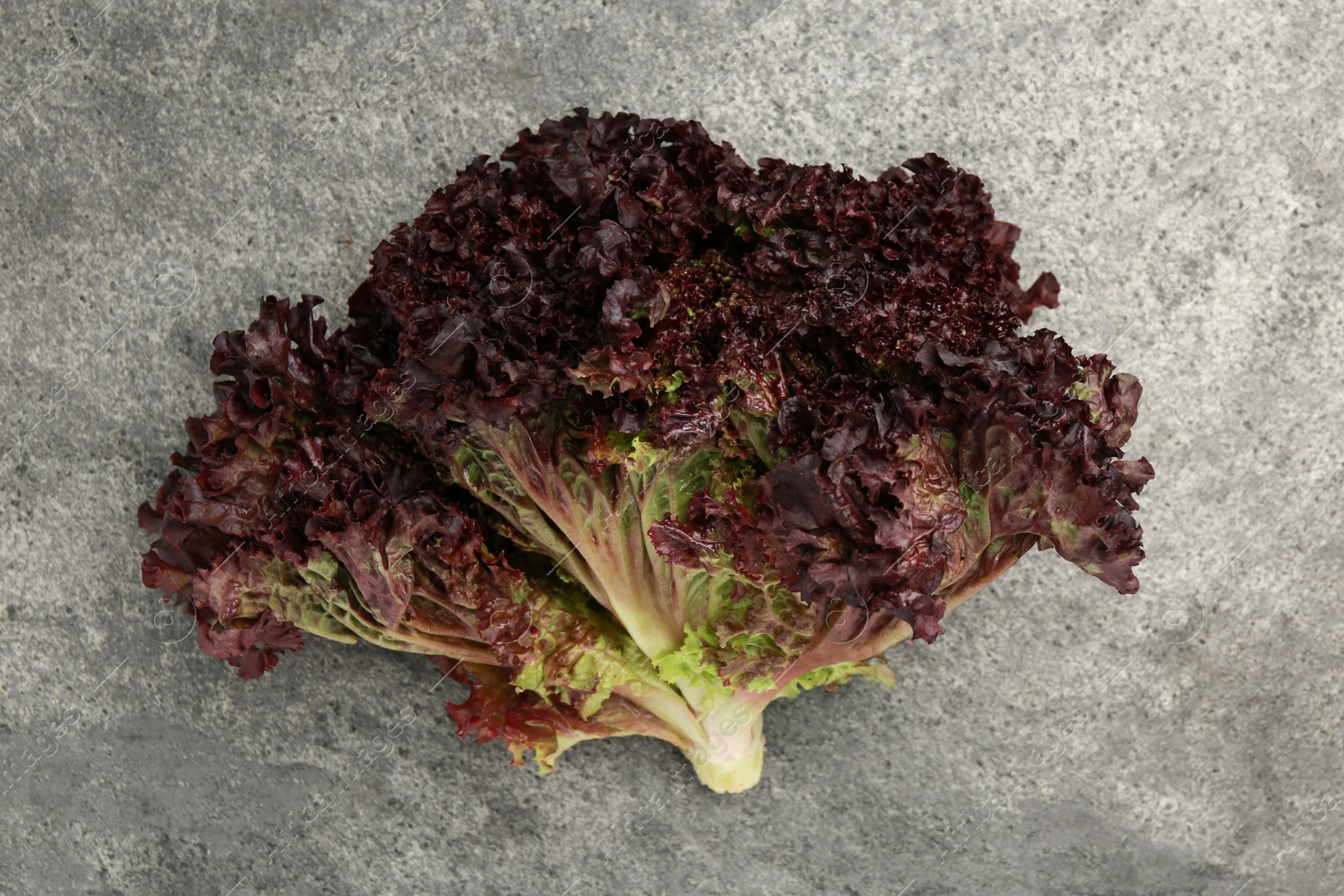 Photo of Head of fresh red coral lettuce on grey table, top view